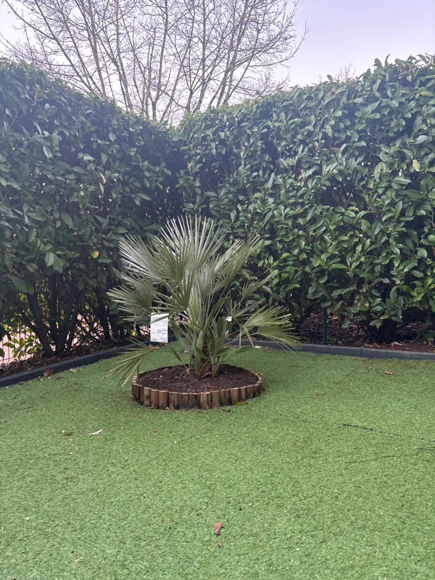 Romantisme Et Glamour Avec Spa ,Jardin Proche Zenith Dijon Dış mekan fotoğraf